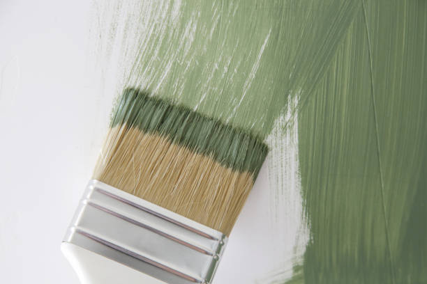 Mold Remediation for Vacation Homes in West Frankfort, IL