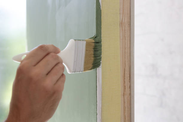 Best Post-Construction Mold Inspection  in West Frankfort, IL