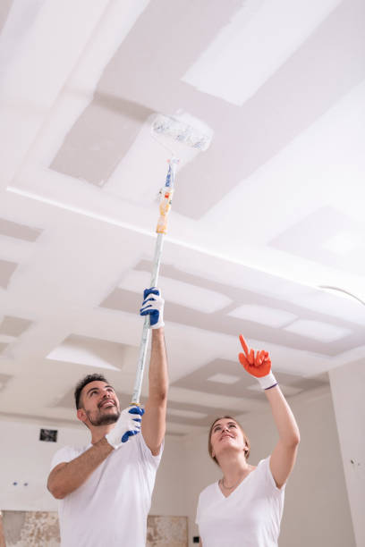 Best Water Damage & Mold Remediation  in West Frankfort, IL