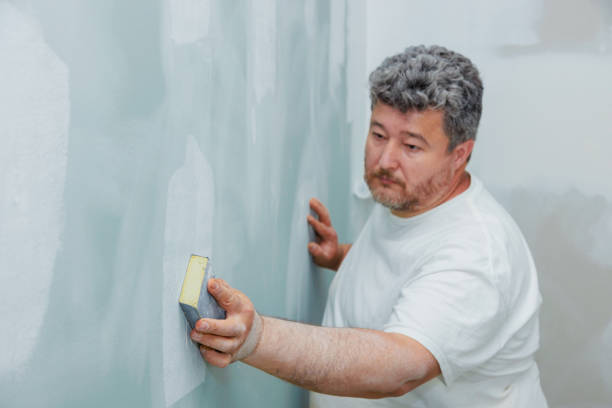 Best Basement Mold Removal  in West Frankfort, IL