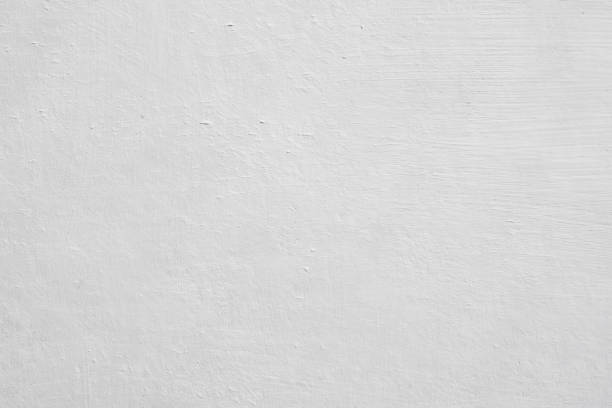 Best Mold Prevention Services  in West Frankfort, IL