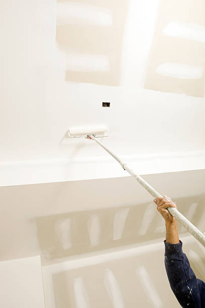 Best Dehumidification Services  in West Frankfort, IL